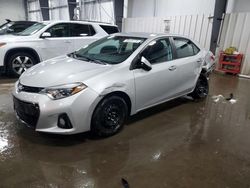 Salvage cars for sale at Ham Lake, MN auction: 2014 Toyota Corolla L