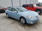 2011 Lexus ES 350