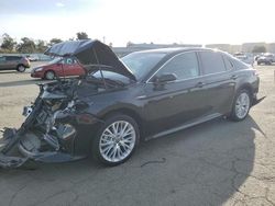 Salvage cars for sale at Martinez, CA auction: 2020 Toyota Camry XLE