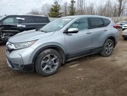 Salvage cars for sale at Davison, MI auction: 2019 Honda CR-V EXL