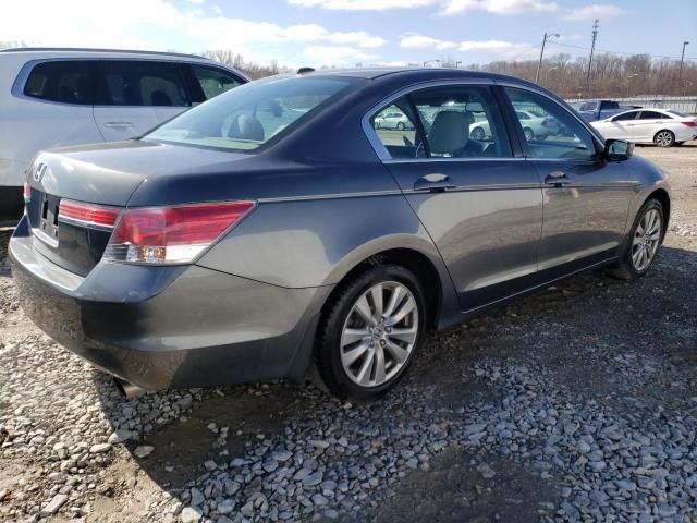 2011 Honda Accord EXL