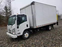 Salvage trucks for sale at West Warren, MA auction: 2019 Isuzu NPR HD