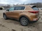 2019 KIA Sportage EX