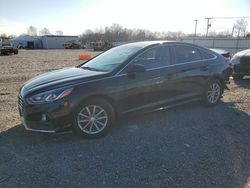 Carros salvage sin ofertas aún a la venta en subasta: 2019 Hyundai Sonata SE