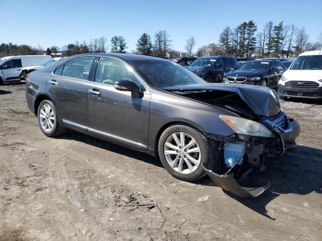 2010 Lexus ES 350