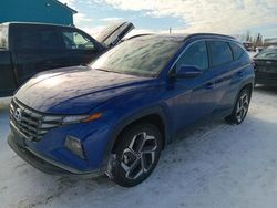 Salvage cars for sale at Anchorage, AK auction: 2023 Hyundai Tucson SEL