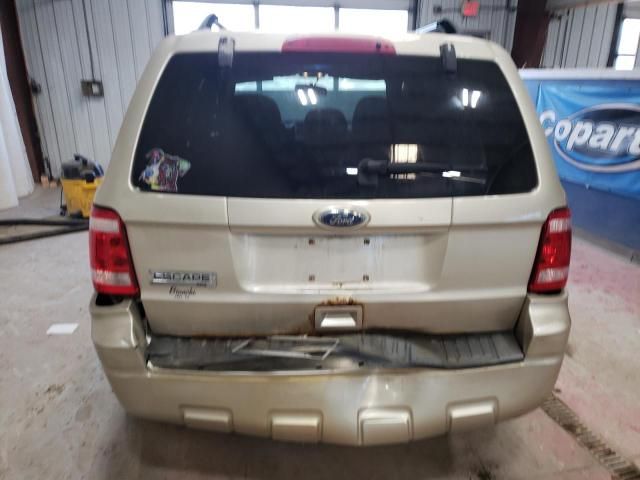 2010 Ford Escape XLT