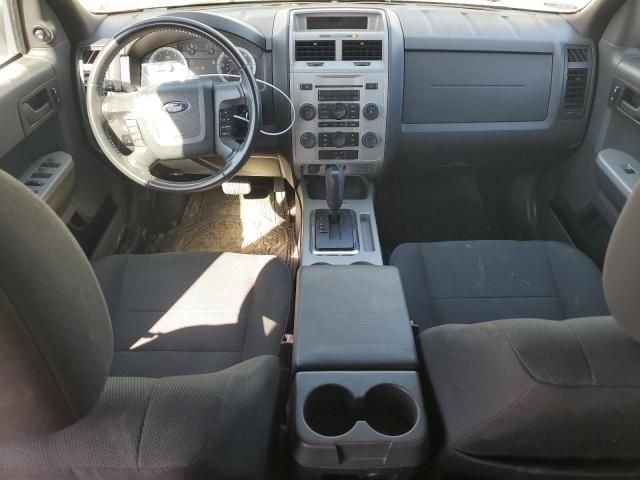 2009 Ford Escape XLT