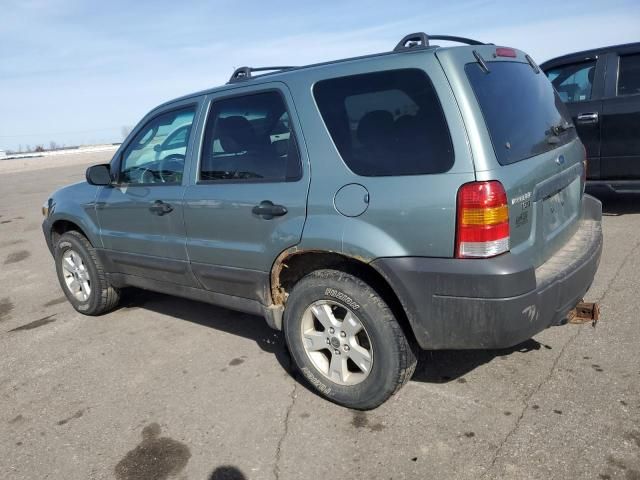 2006 Ford Escape XLT