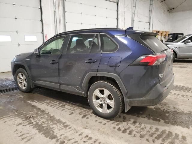 2019 Toyota Rav4 XLE