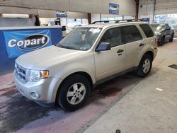 Carros salvage sin ofertas aún a la venta en subasta: 2010 Ford Escape XLT