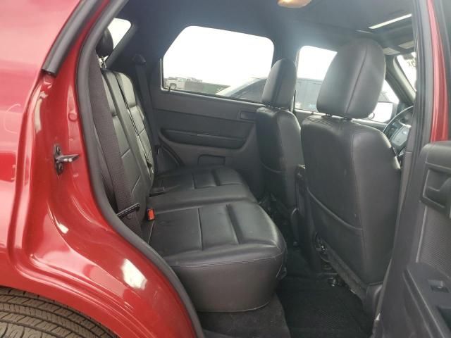 2009 Ford Escape XLT