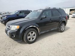 Salvage cars for sale at Kansas City, KS auction: 2011 Ford Escape Limited