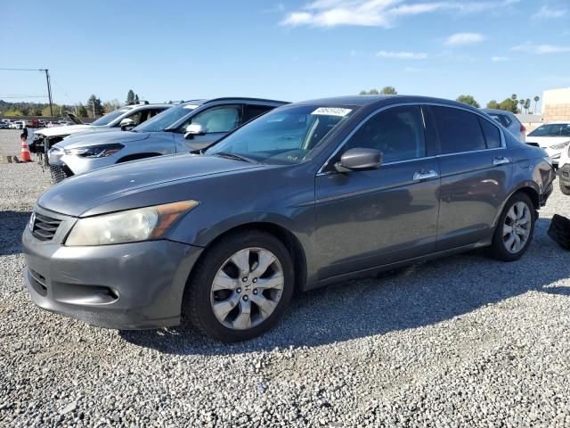 2009 Honda Accord EXL