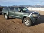 2010 Toyota Tacoma Double Cab