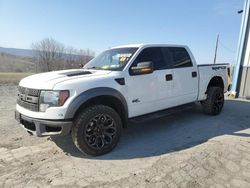 Salvage cars for sale at Chambersburg, PA auction: 2011 Ford F150 SVT Raptor