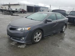 Salvage cars for sale at Sun Valley, CA auction: 2012 Toyota Camry Base