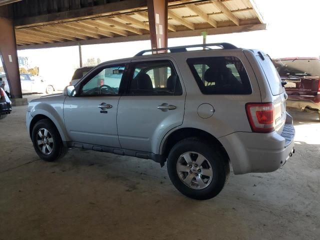 2009 Ford Escape Limited