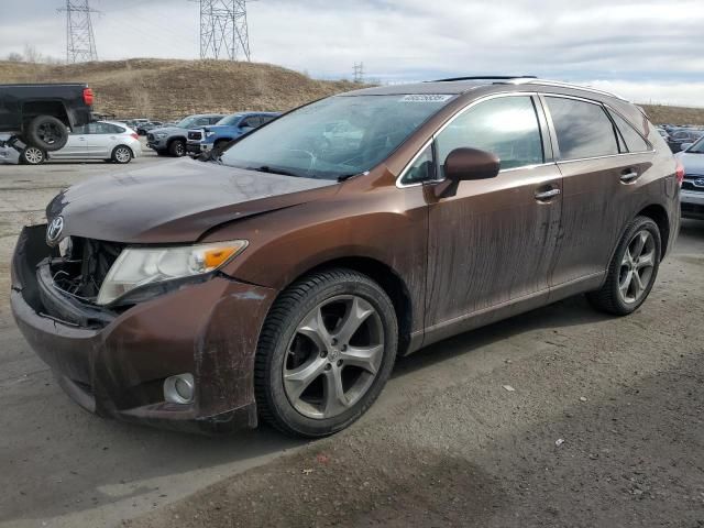 2010 Toyota Venza