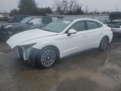 Salvage cars for sale at auction: 2023 Hyundai Sonata Hybrid