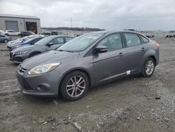 Salvage cars for sale at Earlington, KY auction: 2014 Ford Focus SE