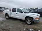 2002 Dodge Dakota Quad SLT