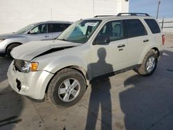 Salvage cars for sale at Farr West, UT auction: 2009 Ford Escape XLT