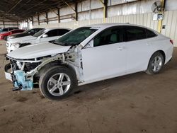 Salvage cars for sale at Phoenix, AZ auction: 2019 Chevrolet Malibu LS