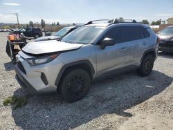 Carros salvage a la venta en subasta: 2020 Toyota Rav4 LE