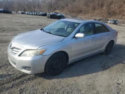 Salvage cars for sale at Marlboro, NY auction: 2010 Toyota Camry Base