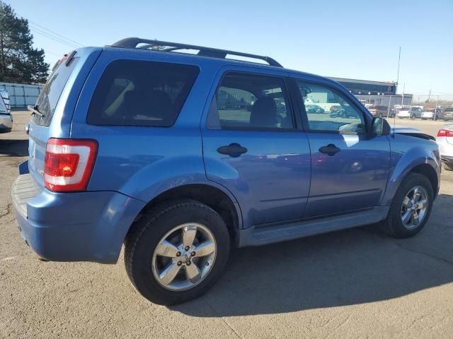 2009 Ford Escape XLT