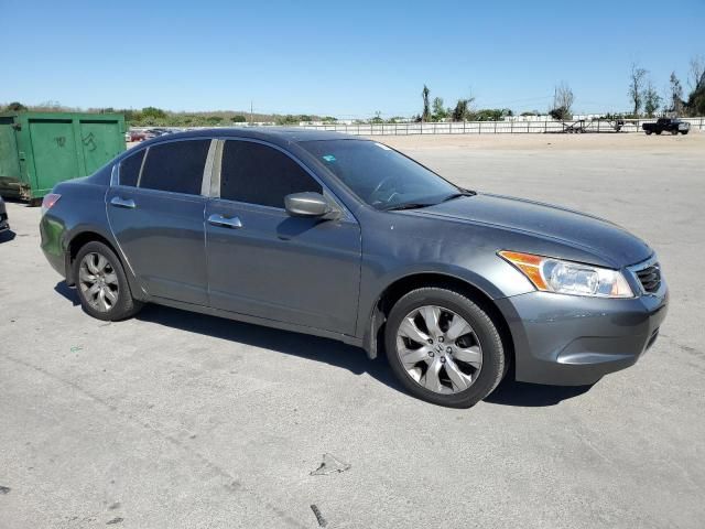 2008 Honda Accord EXL