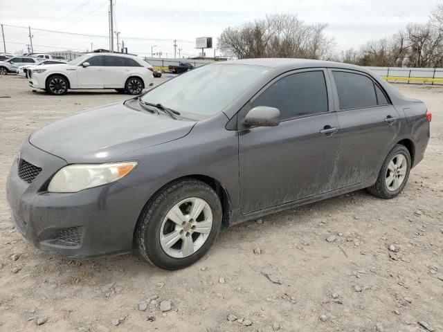 2010 Toyota Corolla Base