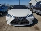 2021 Lexus ES 250 Base