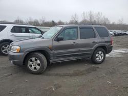 Mazda Tribute Vehiculos salvage en venta: 2004 Mazda Tribute ES