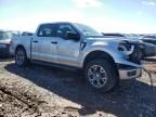 2024 Ford F150 STX