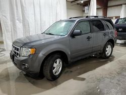 Salvage cars for sale at Leroy, NY auction: 2012 Ford Escape XLT