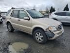 2004 Mercedes-Benz ML 500