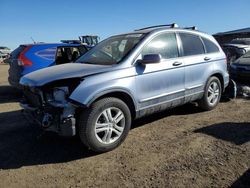 Salvage cars for sale at Brighton, CO auction: 2011 Honda CR-V EXL