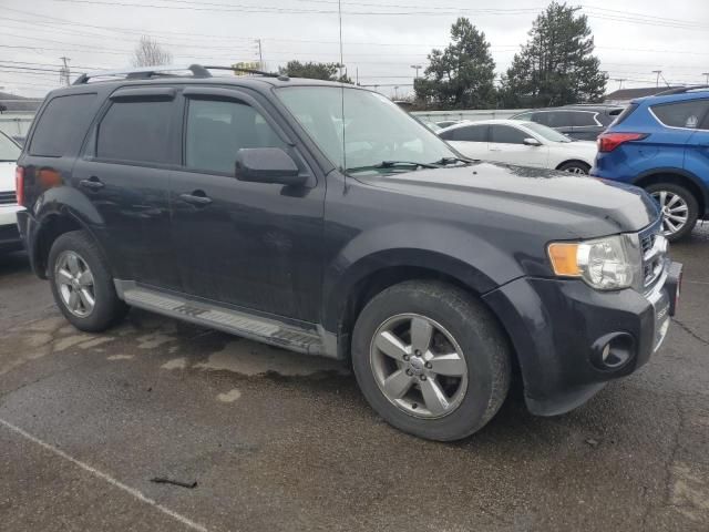 2011 Ford Escape Limited