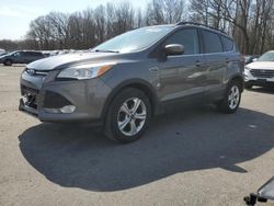 Salvage cars for sale at Glassboro, NJ auction: 2013 Ford Escape SE