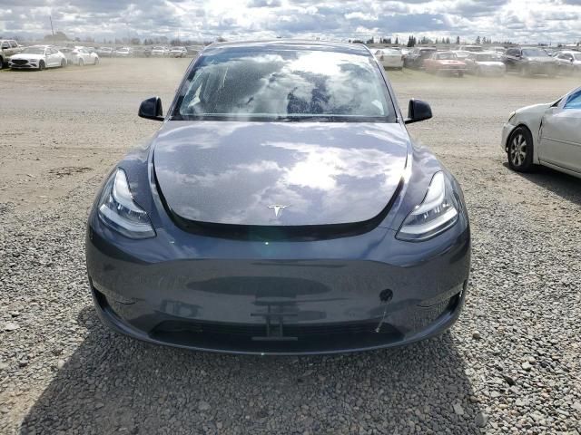 2020 Tesla Model Y