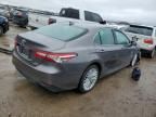 2020 Toyota Camry XLE