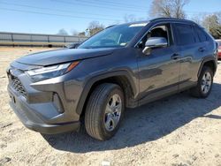 Salvage cars for sale at Chatham, VA auction: 2024 Toyota Rav4 XLE