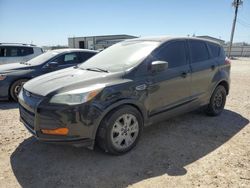 Salvage cars for sale at San Antonio, TX auction: 2016 Ford Escape S