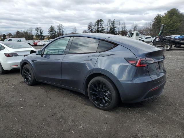 2020 Tesla Model Y