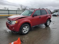 Salvage cars for sale at Lebanon, TN auction: 2010 Ford Escape XLT