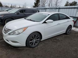 Salvage cars for sale at Bowmanville, ON auction: 2011 Hyundai Sonata SE