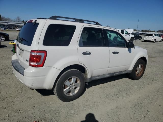 2011 Ford Escape XLT