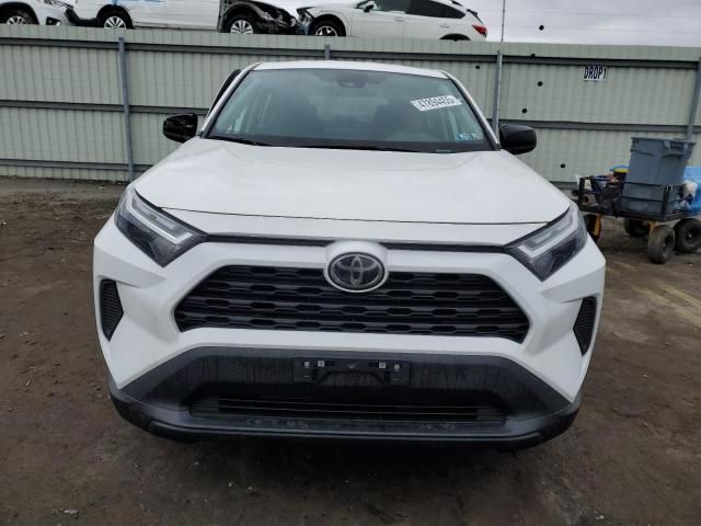 2023 Toyota Rav4 LE